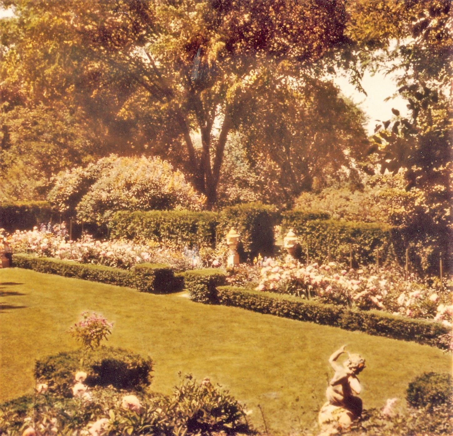 Partial view of formal gardens at Covin Tree.