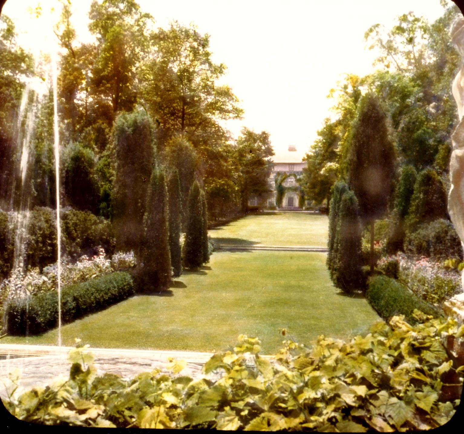 Allee in garden.