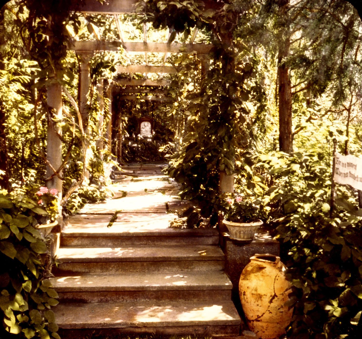 Shaw-designed pergola covered with plantings and flanked by pottery.