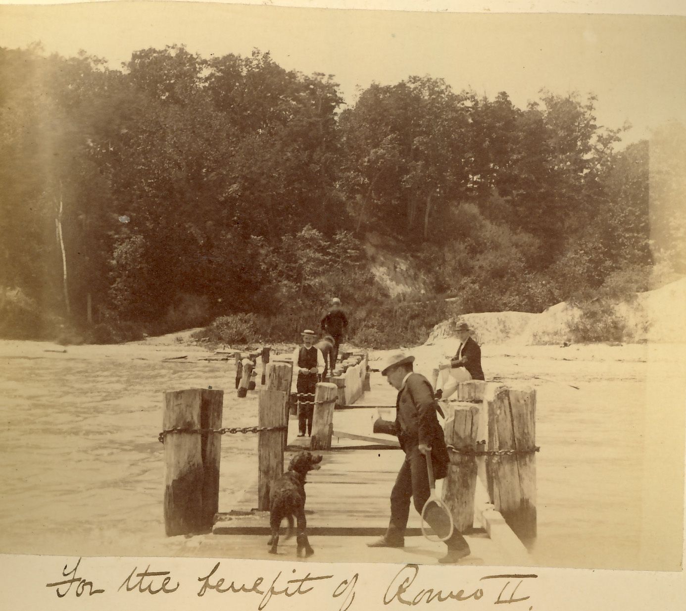 c. 1890, from a Farwell family album. Romeo II is the dog.
