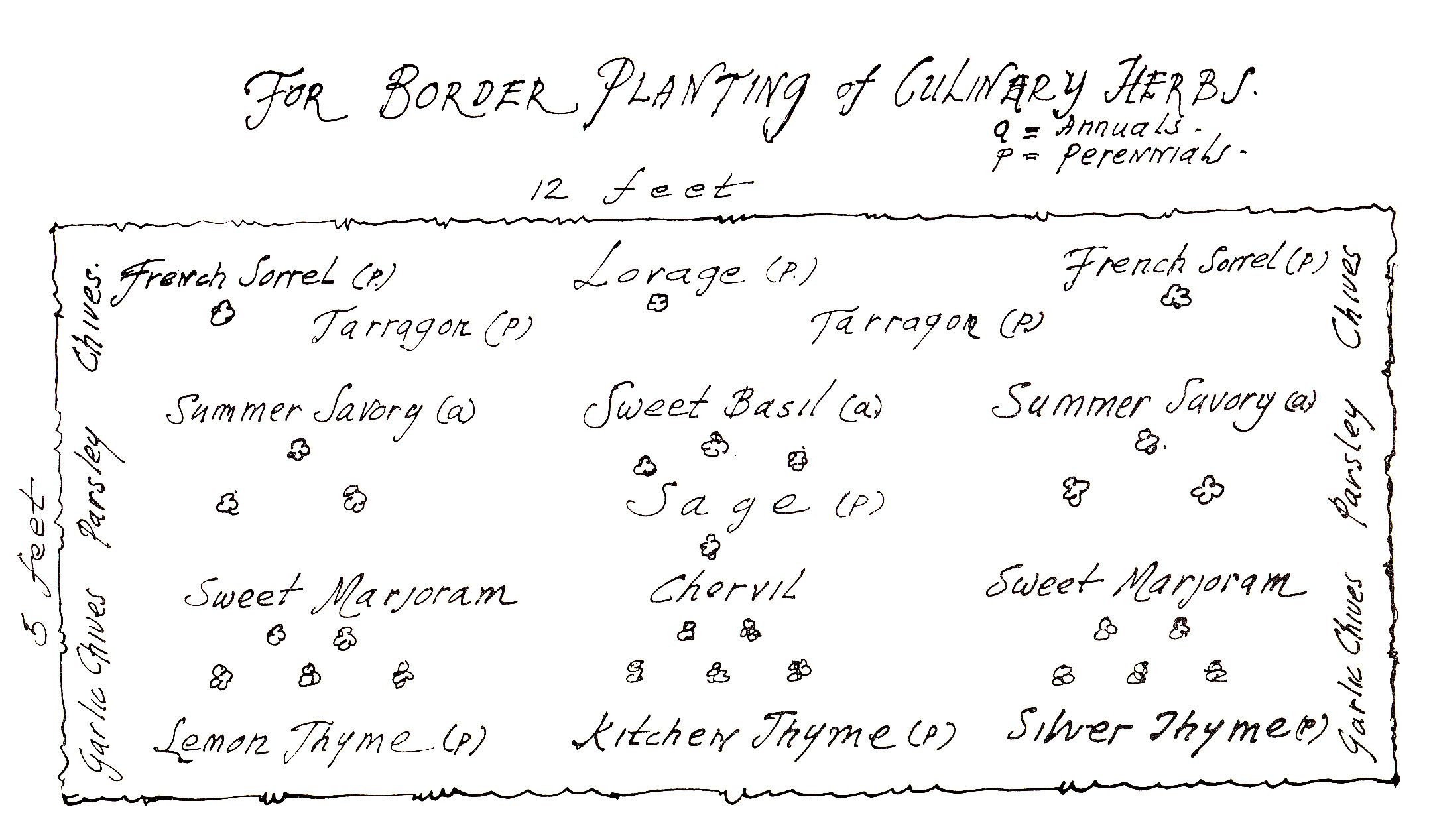 A sample herb bed diagram included in Edith Foster Farwell’s Have Fun With Herbs, possibly based on her own garden.