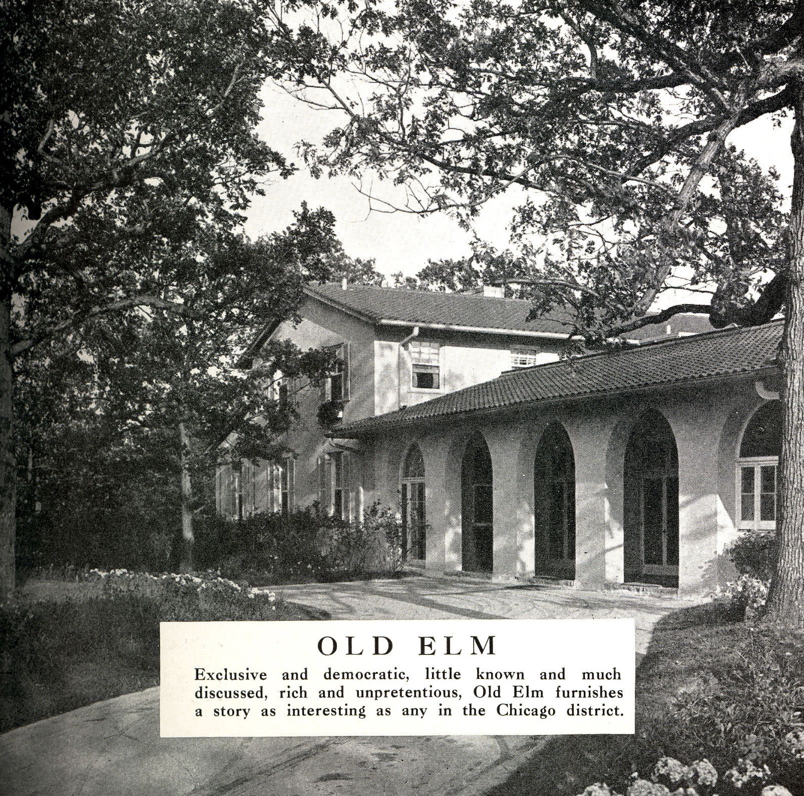 The ""old elm."" Image from Golf Illustrated, 1923.