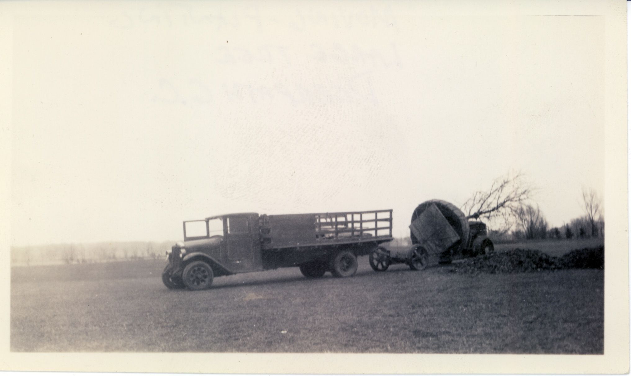 Building a golf course sometimes involved reshaping the landscape. Key in the process at Deerpath were Ed and Joe Lindenmeyer, whose Caterpillar bulldozer and P&H scoop shoveled earth for tees and fairway bunkers, dug holes for greenside bunkers, and piled and graded loose dirt for greens. Here someone pitched in by moving a large tree.