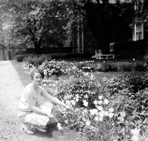 Ginevra King Mitchell gardening in Chicago. Image source: Chicago Daily News.
