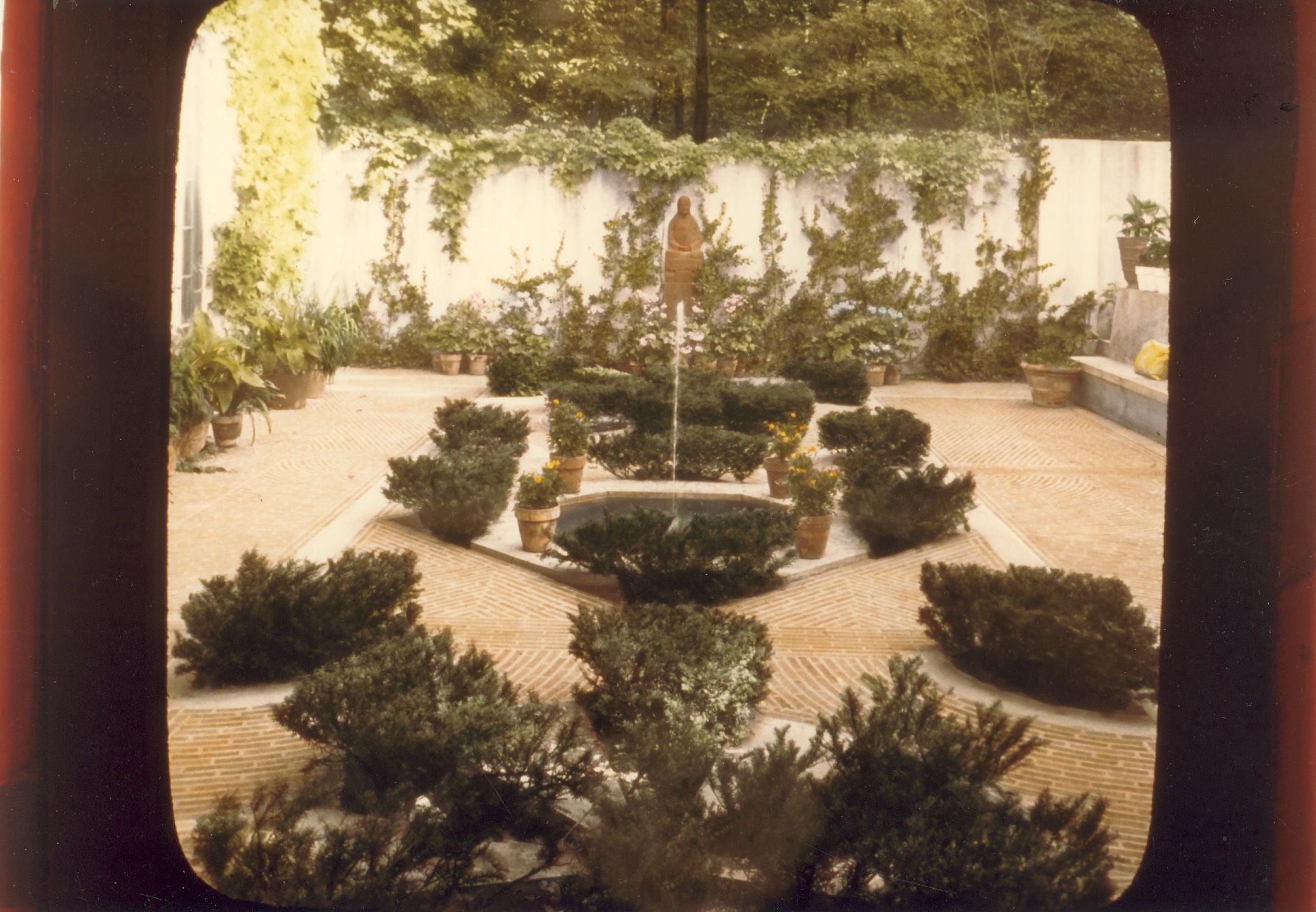 Walled garden with yews in center, yellow potted flowers and statue at rear wall.