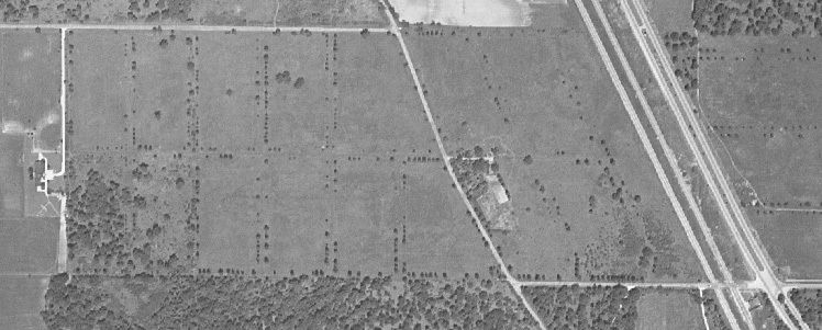 1946