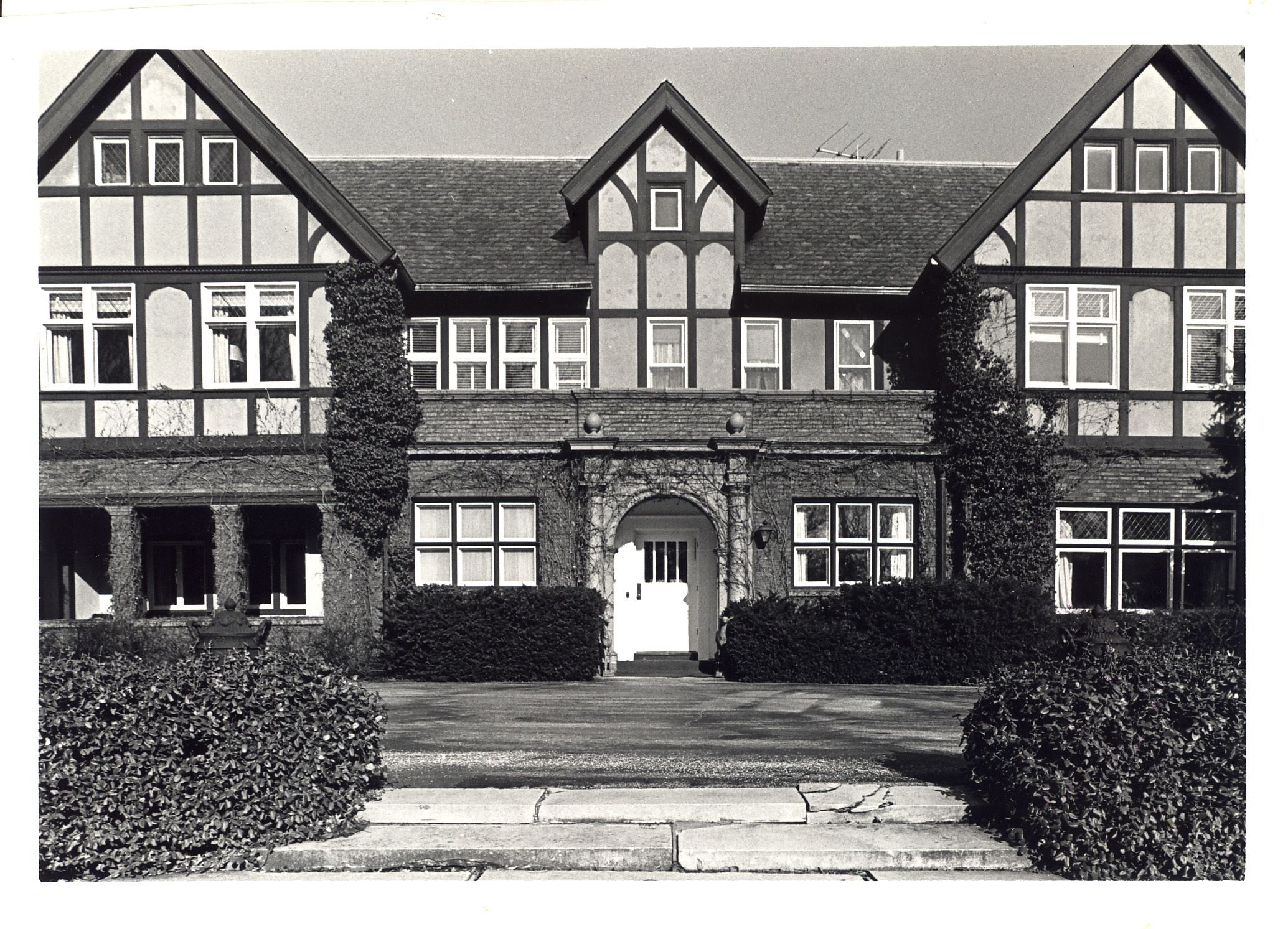 1981