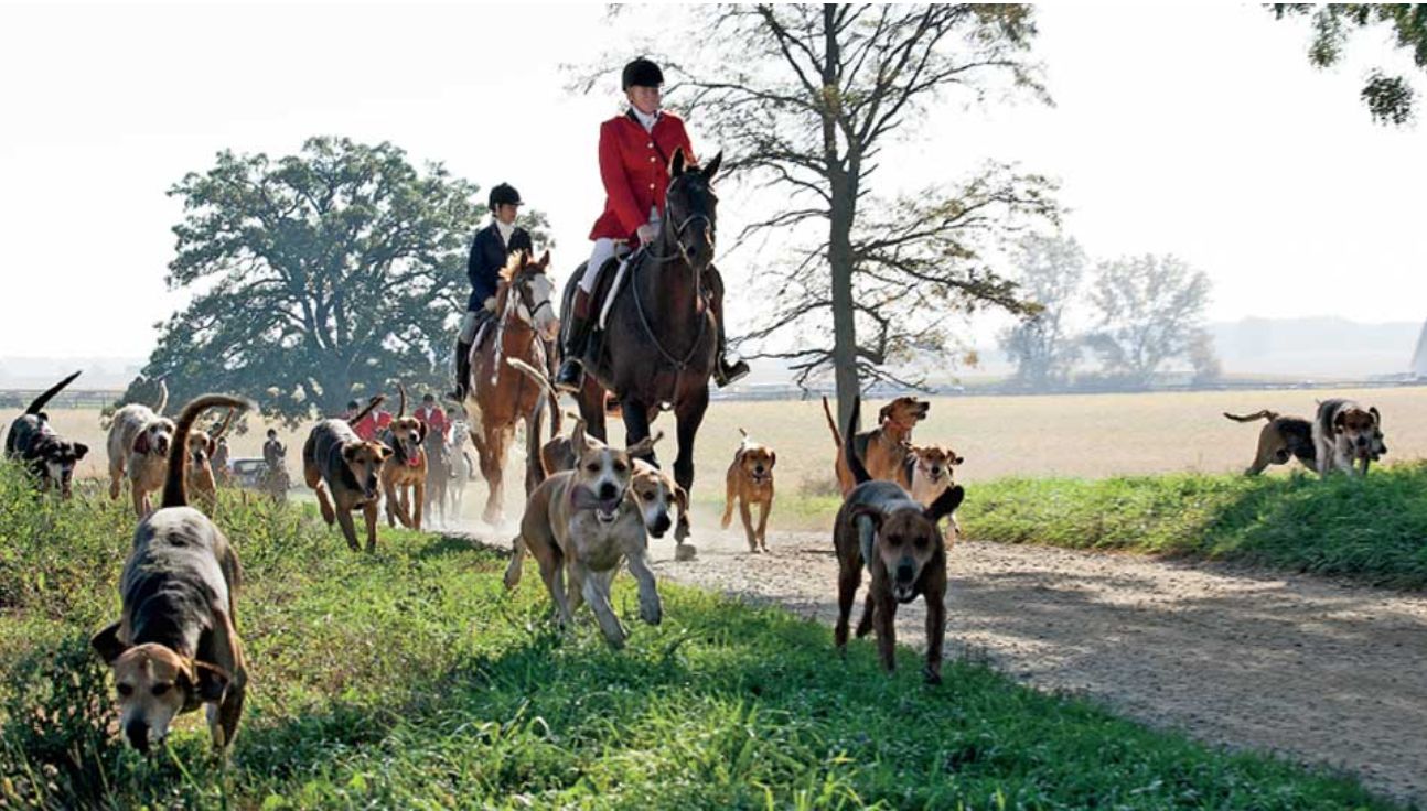 Brenda Yost, Mill Creek Hunt Professional Huntsman, and Chris Lane with the Mill Creek Pack. Image Source: Daily North Shore, photograph by Rick Myslinski, November 2, 2015.