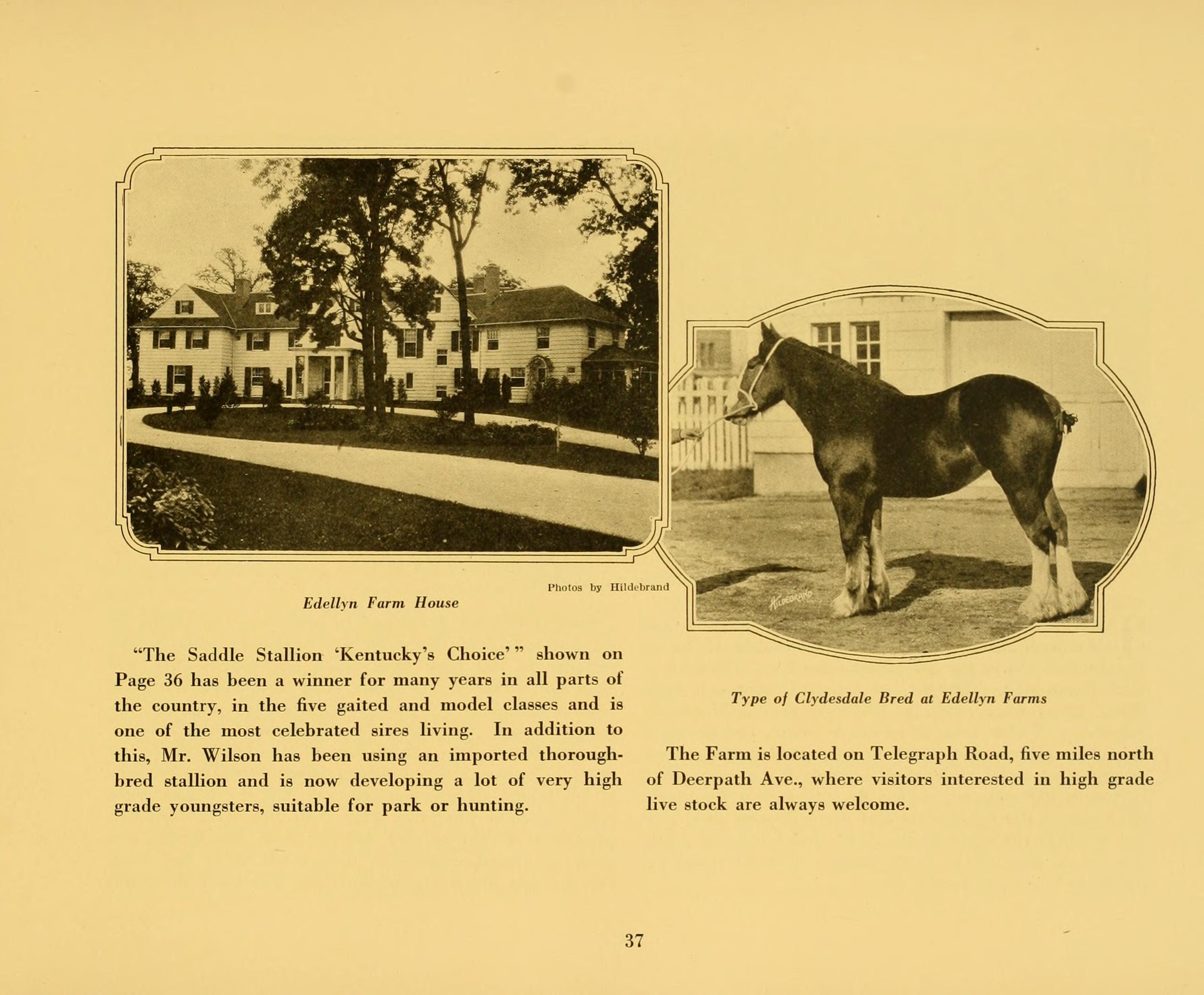 Edellyn Farm pamphlet.