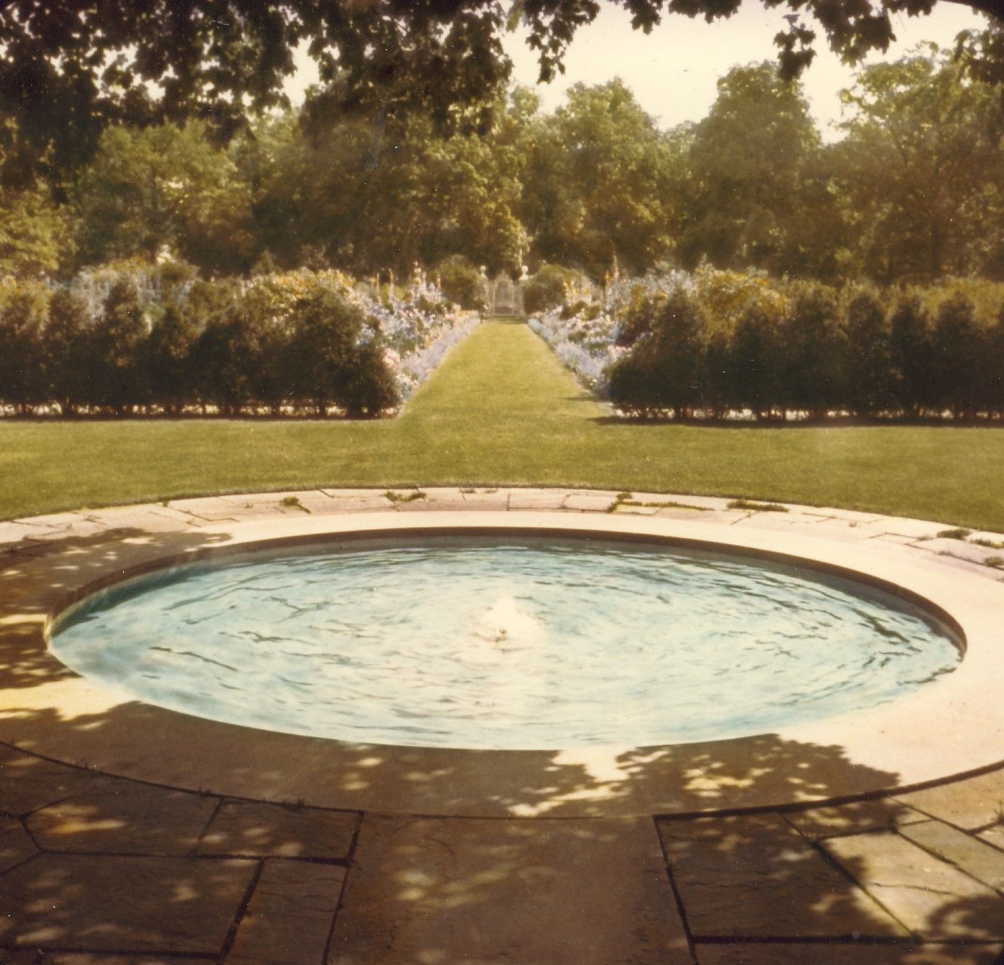 Garden with pool in foreground, gate at far end.